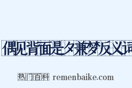 偶见背面是夕兼梦反义词是什么意思的图片